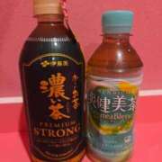 ヒメ日記 2025/12/21 12:24 投稿 つばき マリンマリン