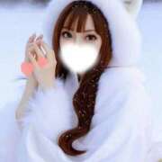 ヒメ日記 2025/12/26 20:35 投稿 つばき マリンマリン