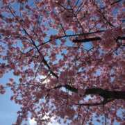 ヒメ日記 2025/03/14 09:06 投稿 さおり エディーズ