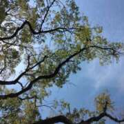 ヒメ日記 2025/05/07 10:36 投稿 さおり エディーズ