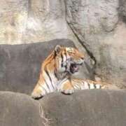 ヒメ日記 2025/05/12 18:26 投稿 さおり エディーズ