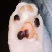 さおり 次回から…… エディーズ