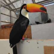 さおり 【お礼写メ日記】qomollama様へ エディーズ