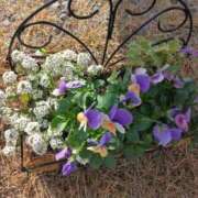 ヒメ日記 2025/12/23 16:57 投稿 さおり エディーズ