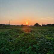 ヒメ日記 2025/07/31 16:39 投稿 れいか モアグループ川越人妻花壇