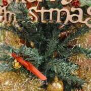 ヒメ日記 2024/12/23 20:02 投稿 谷口ともこ 大阪ぽっちゃり妻 谷九店