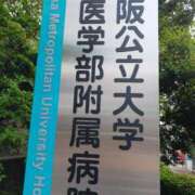 ヒメ日記 2025/05/12 18:57 投稿 谷口ともこ 大阪ぽっちゃり妻 谷九店