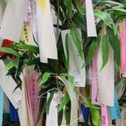 ヒメ日記 2025/07/07 19:49 投稿 谷口ともこ 大阪ぽっちゃり妻 谷九店