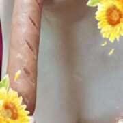 ヒメ日記 2025/09/27 10:04 投稿 谷口ともこ 大阪ぽっちゃり妻 谷九店