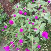 ヒメ日記 2025/09/28 17:56 投稿 谷口ともこ 大阪ぽっちゃり妻 谷九店