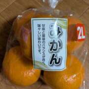 ヒメ日記 2026/02/09 12:37 投稿 谷口ともこ 大阪ぽっちゃり妻 谷九店