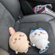 ヒメ日記 2026/02/17 10:09 投稿 谷口ともこ 大阪ぽっちゃり妻 谷九店