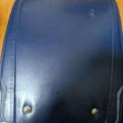 ヒメ日記 2026/03/23 19:46 投稿 谷口ともこ 大阪ぽっちゃり妻 谷九店