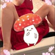 ヒメ日記 2026/05/13 11:06 投稿 谷口ともこ 大阪ぽっちゃり妻 谷九店