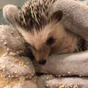 ヒメ日記 2025/07/01 18:15 投稿 りのん 渋谷FLAMINGO