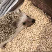 りのん LINE調子悪い😢、、、 渋谷FLAMINGO