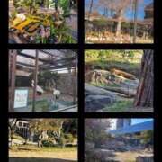 ヒメ日記 2025/01/04 11:47 投稿 おとは 奥様さくら日本橋店