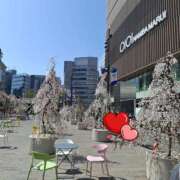 ヒメ日記 2025/03/23 14:54 投稿 おとは 奥様さくら日本橋店