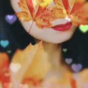 ヒメ日記 2025/10/30 12:59 投稿 おとは 奥様さくら日本橋店