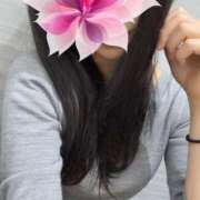 ヒメ日記 2025/11/15 00:15 投稿 おとは 奥様さくら日本橋店