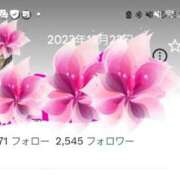 ヒメ日記 2025/11/26 18:32 投稿 おとは 奥様さくら日本橋店