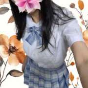 ヒメ日記 2025/12/15 01:26 投稿 おとは 奥様さくら日本橋店