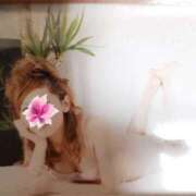 ヒメ日記 2025/05/04 00:16 投稿 おとは club さくら日本橋店