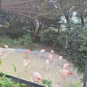 ヒメ日記 2025/12/01 19:06 投稿 おとは club さくら日本橋店