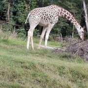 ヒメ日記 2025/12/10 20:16 投稿 おとは club さくら日本橋店