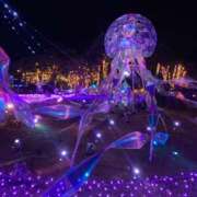 ヒメ日記 2025/11/16 21:54 投稿 あきな ぽちゃ巨乳専門　新大久保・新宿歌舞伎町ちゃんこ