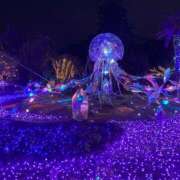 あきな 明日はー ぽちゃ巨乳専門　新大久保・新宿歌舞伎町ちゃんこ