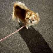 ヒメ日記 2025/01/24 22:36 投稿 ゆいな☆甘いロリカワ童顔女♪ 妹系イメージSOAP萌えフードル学園 大宮本校