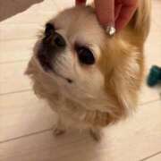 ヒメ日記 2025/01/28 06:32 投稿 ゆいな☆甘いロリカワ童顔女♪ 妹系イメージSOAP萌えフードル学園 大宮本校