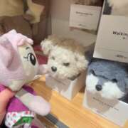 ヒメ日記 2025/02/05 08:16 投稿 ゆいな☆甘いロリカワ童顔女♪ 妹系イメージSOAP萌えフードル学園 大宮本校