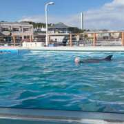 ヒメ日記 2025/02/07 21:11 投稿 ゆいな☆甘いロリカワ童顔女♪ 妹系イメージSOAP萌えフードル学園 大宮本校