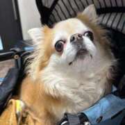 ヒメ日記 2025/02/13 06:13 投稿 ゆいな☆甘いロリカワ童顔女♪ 妹系イメージSOAP萌えフードル学園 大宮本校