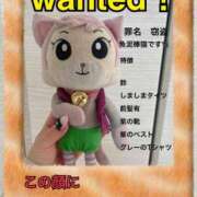 ヒメ日記 2025/02/22 08:17 投稿 ゆいな☆甘いロリカワ童顔女♪ 妹系イメージSOAP萌えフードル学園 大宮本校