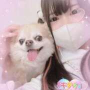 ヒメ日記 2025/04/12 07:09 投稿 ゆいな☆甘いロリカワ童顔女♪ 妹系イメージSOAP萌えフードル学園 大宮本校