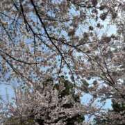 ヒメ日記 2025/04/12 07:37 投稿 ゆいな☆甘いロリカワ童顔女♪ 妹系イメージSOAP萌えフードル学園 大宮本校