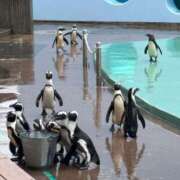 ヒメ日記 2025/04/28 08:53 投稿 ゆいな☆甘いロリカワ童顔女♪ 妹系イメージSOAP萌えフードル学園 大宮本校