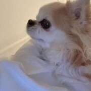 ヒメ日記 2025/05/15 08:38 投稿 ゆいな☆甘いロリカワ童顔女♪ 妹系イメージSOAP萌えフードル学園 大宮本校