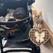 ヒメ日記 2025/10/03 14:05 投稿 ゆいな☆甘いロリカワ童顔女♪ 妹系イメージSOAP萌えフードル学園 大宮本校