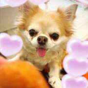 ヒメ日記 2025/11/19 07:41 投稿 ゆいな☆甘いロリカワ童顔女♪ 妹系イメージSOAP萌えフードル学園 大宮本校