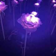 ヒメ日記 2025/11/19 16:37 投稿 ゆいな☆甘いロリカワ童顔女♪ 妹系イメージSOAP萌えフードル学園 大宮本校