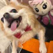 ゆいな☆甘いロリカワ童顔女♪ 🩷登校します🩷 妹系イメージSOAP萌えフードル学園 大宮本校