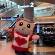 ヒメ日記 2026/02/10 08:51 投稿 ゆいな☆甘いロリカワ童顔女♪ 妹系イメージSOAP萌えフードル学園 大宮本校