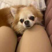 ヒメ日記 2026/02/18 07:19 投稿 ゆいな☆甘いロリカワ童顔女♪ 妹系イメージSOAP萌えフードル学園 大宮本校