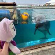 ヒメ日記 2026/03/02 13:41 投稿 ゆいな☆甘いロリカワ童顔女♪ 妹系イメージSOAP萌えフードル学園 大宮本校