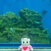 ヒメ日記 2026/03/07 08:41 投稿 ゆいな☆甘いロリカワ童顔女♪ 妹系イメージSOAP萌えフードル学園 大宮本校