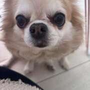 ヒメ日記 2026/03/12 07:52 投稿 ゆいな☆甘いロリカワ童顔女♪ 妹系イメージSOAP萌えフードル学園 大宮本校